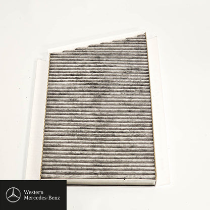 Genuine Mercedes-Benz Cabin Pollen, Combination Filter A2038301018