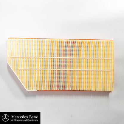 Genuine Mercedes-Benz Air Filter A6540940004